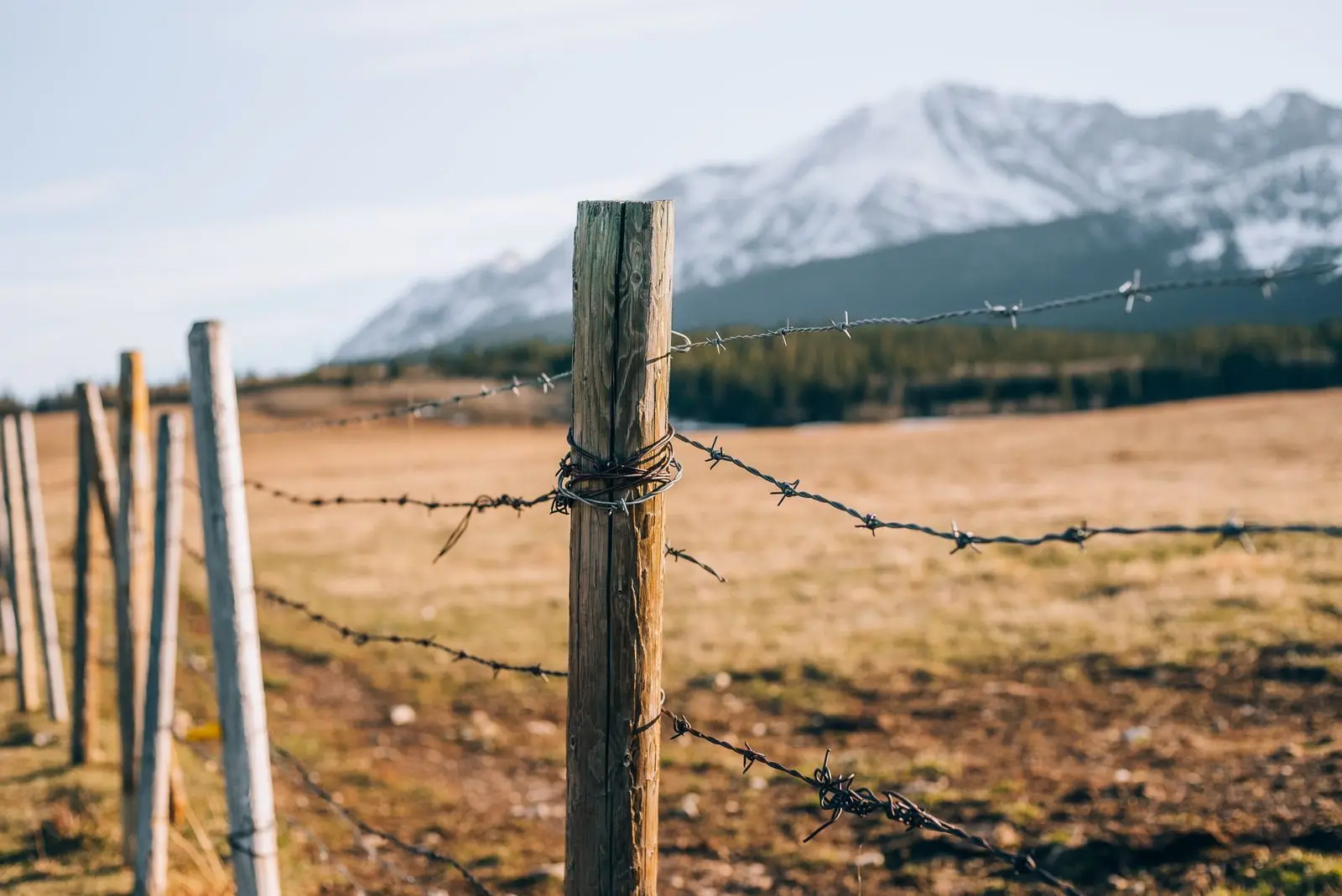 A fenced pasture below a snow-capped mountain