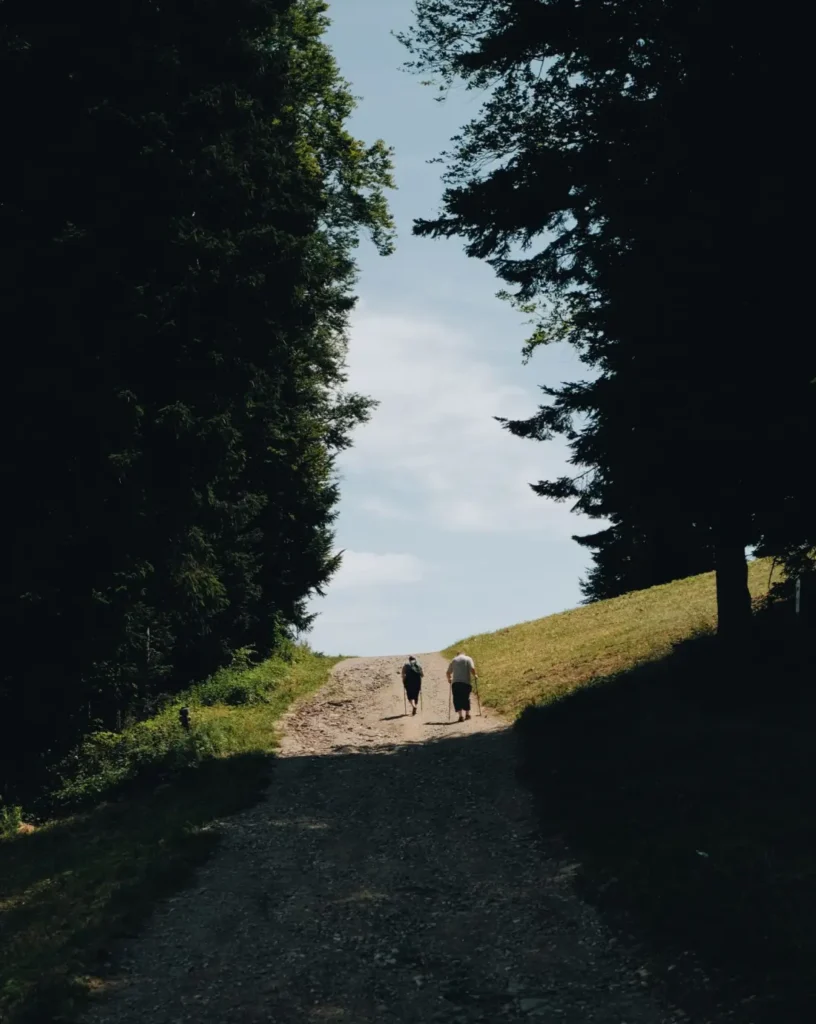 Two walkers far down a grassy forest road, seen from behind